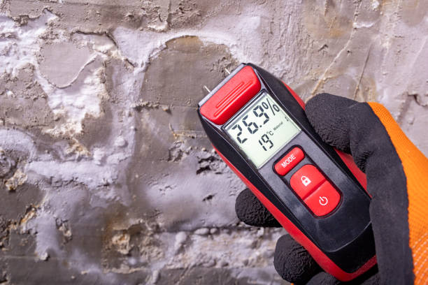 Best Best Mold Removal Companies  in Black Earth, WI