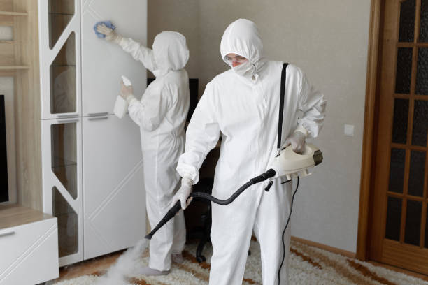 Best Attic Mold Removal  in Black Earth, WI