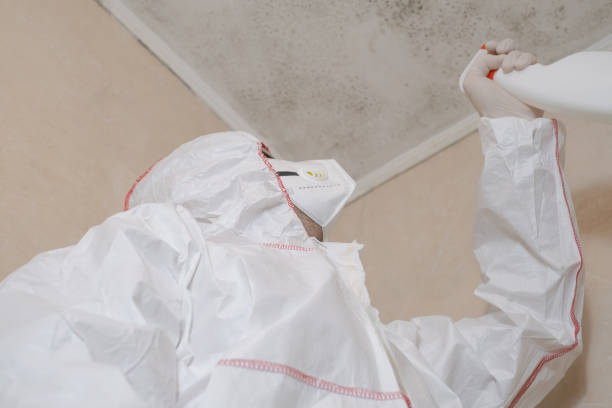 Best Local Mold Removal Service  in Black Earth, WI